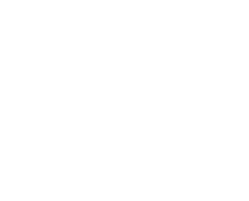 Magnum Multi Services SARL